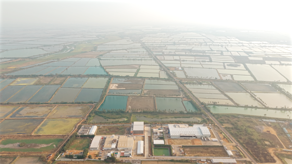 Mulpuri Aqua Processors Farm