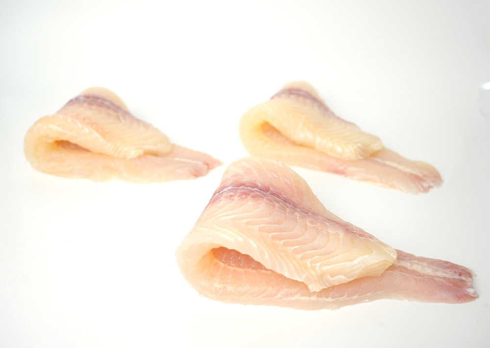 Pangasius Fillets