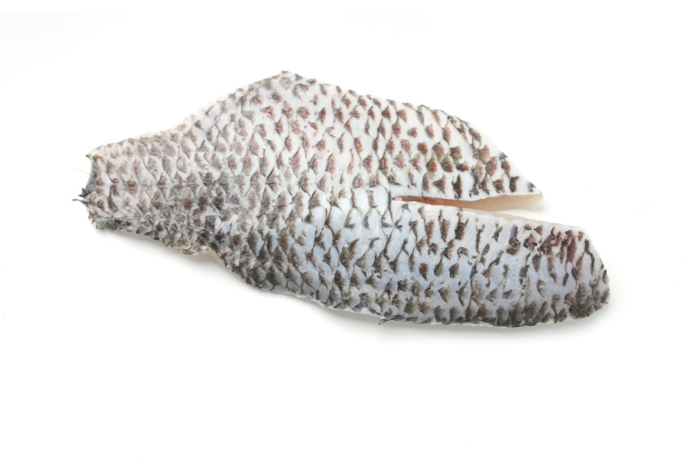 Frozen Tilapia Fillets (Skin-On)